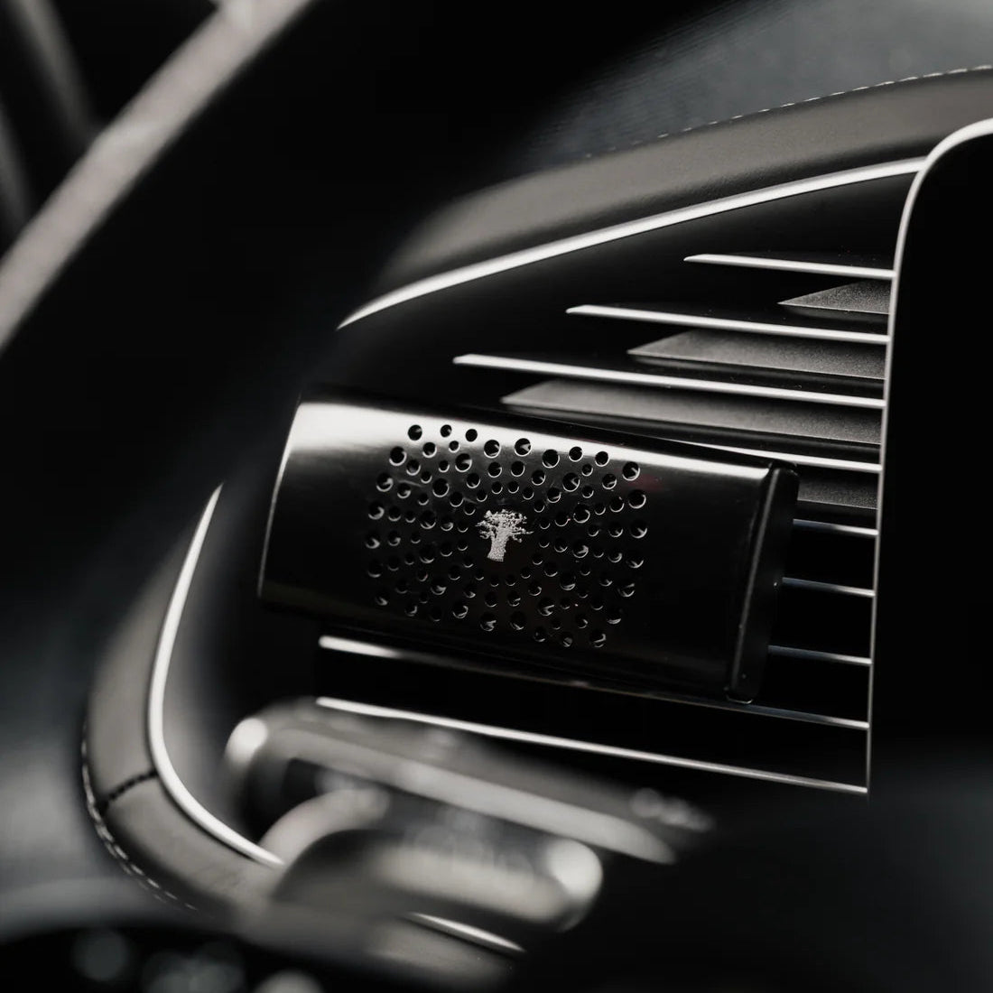 Diffuseur de voiture les "Black Pearls"