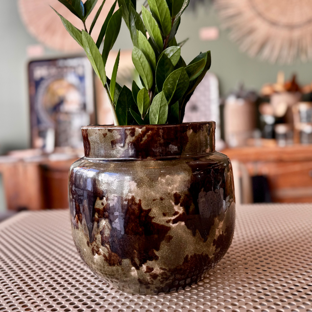Cache pot Mystique Brown