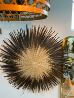 Sun circle brown