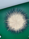 Sun circle Black